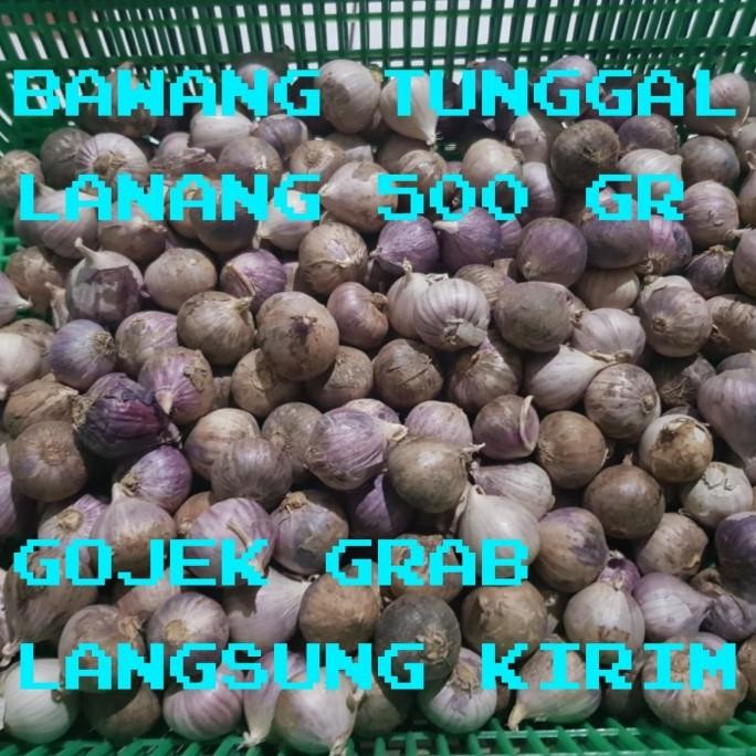 

BAWANG PUTIH TUNGGAL/BAWANG LANANG 500GRAM [terbaik]