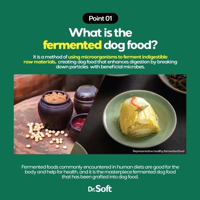 Grosir Dr. Soft Masterpiece Fermentation Duck