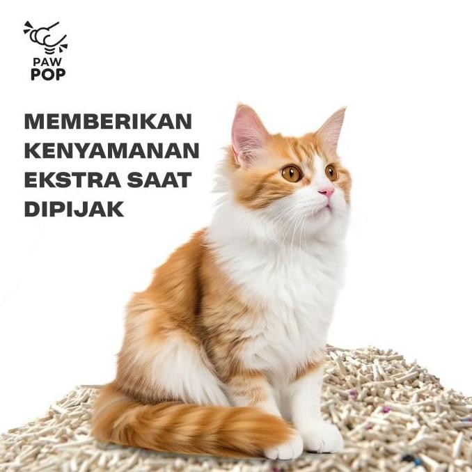 Grosir Paw Pop 3 Pack Mixed Tofu Cat Litter Pasir Tofu Bentonite Dengan Harga Terjangkau Pertama Di 