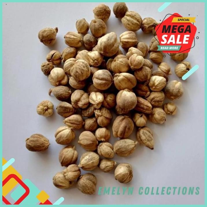 

250G KAPULAGA LOKAL PUTIH BAGUS PREMIUM !!!!