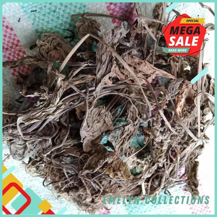

500G DAUN SENDOK KERING HERBAL ISPA H KENCING DARAH BISUL FRESH !!