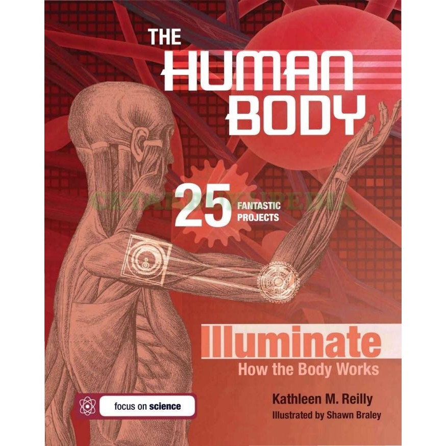 Book The Human Body How Body Works