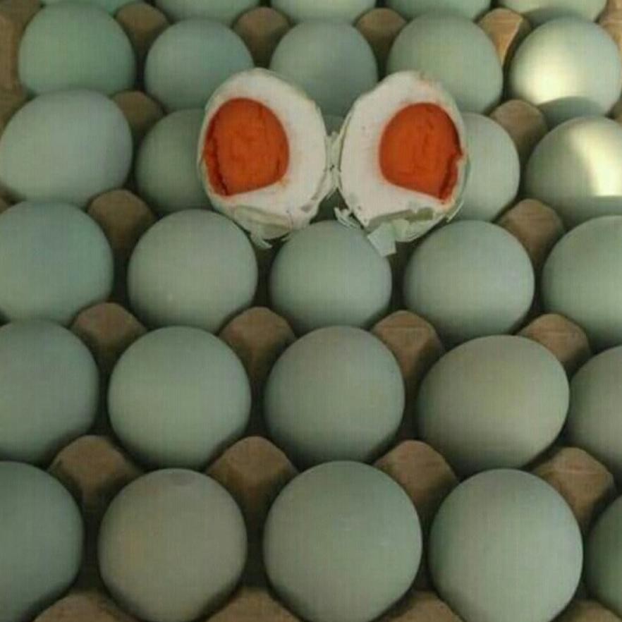 

Jy-6 Telur Bebek Asin Matang Isi 10 Pcs