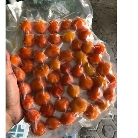 

Er-56 Kuning Telur Asin Frozen / Vakum Isi 50