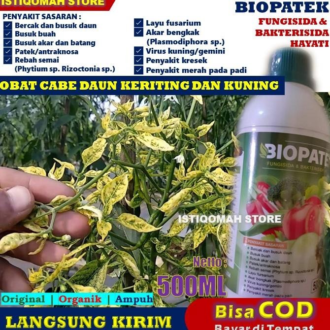 Tg-342 Biopatek 500Ml Obat Cabe Daun Keriting Dan Kuning Untuk Cabe Besar - Obat Layu Obat Cabe Layu