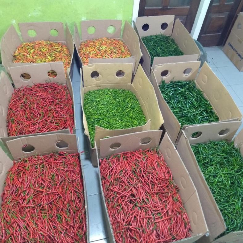 

Un04 Cabe Merah Rawit Ori 1Kg