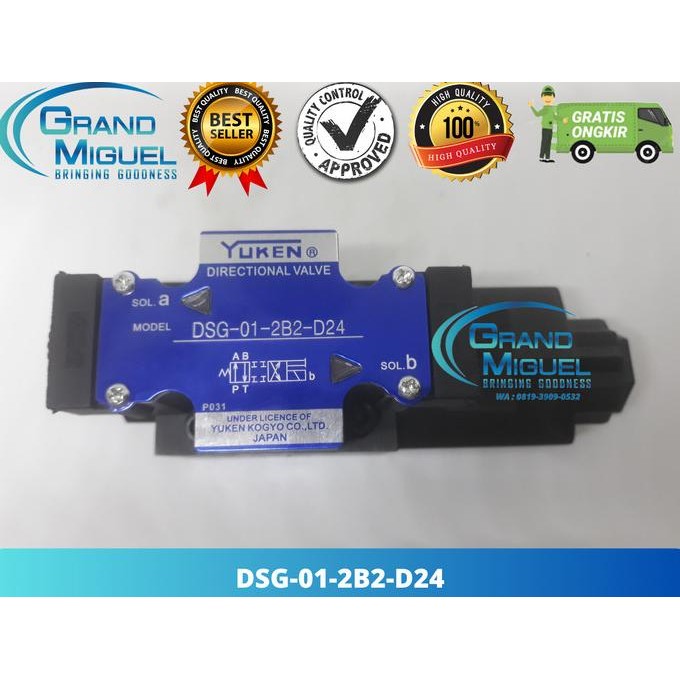 Control Valve Solenoid Valve Selonoid Valve Dsg-01-2B2-D24 Masih Ada