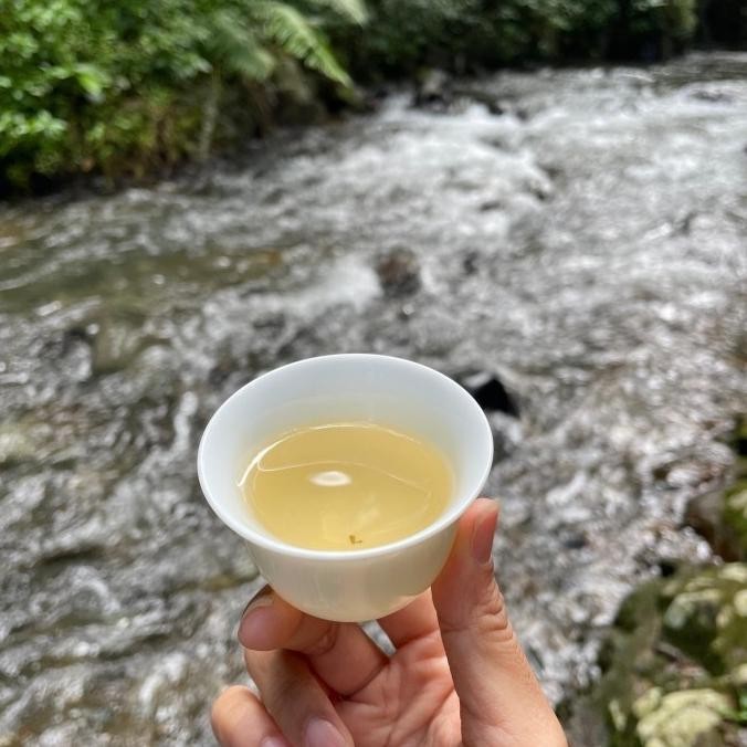 

Grosir [ Pasarteh ] Silver Needle White Tea | Teh Putih | Silver Needle