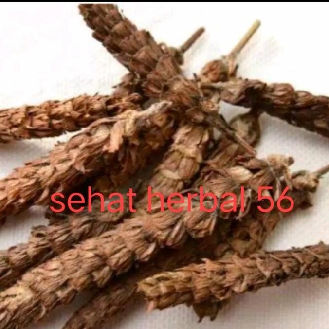

Grosir Xia Gu Cao Xia Ku Cao He Ko Cao Spica Prunellae 1Kg
