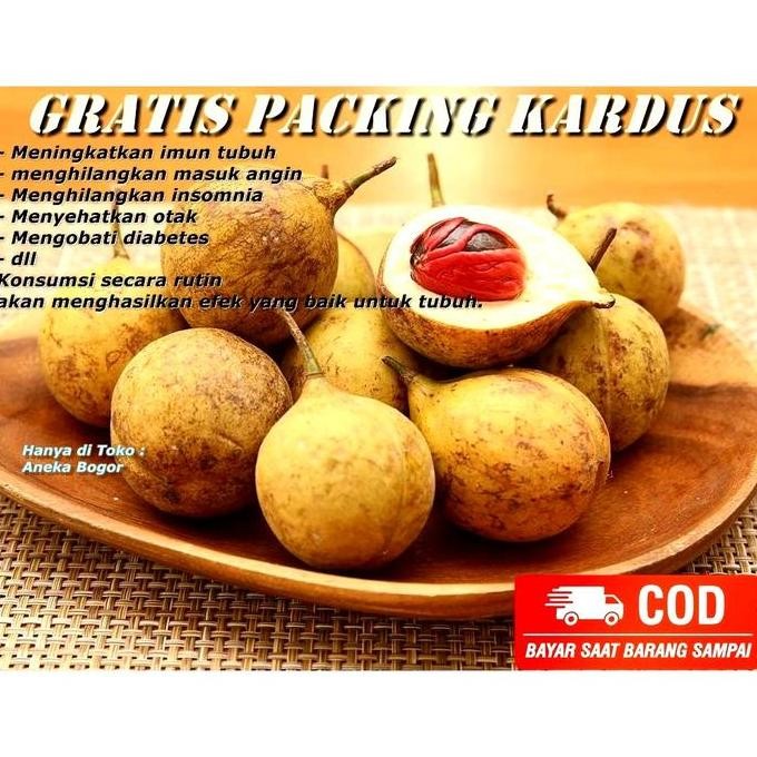 

buah pala mentah 1.kg + langsung petik di pohon + rempah rempah Asam nUg