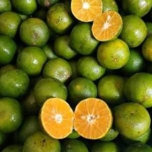 

Jeruk Peras Segar Murah Bandung 1kg nUg