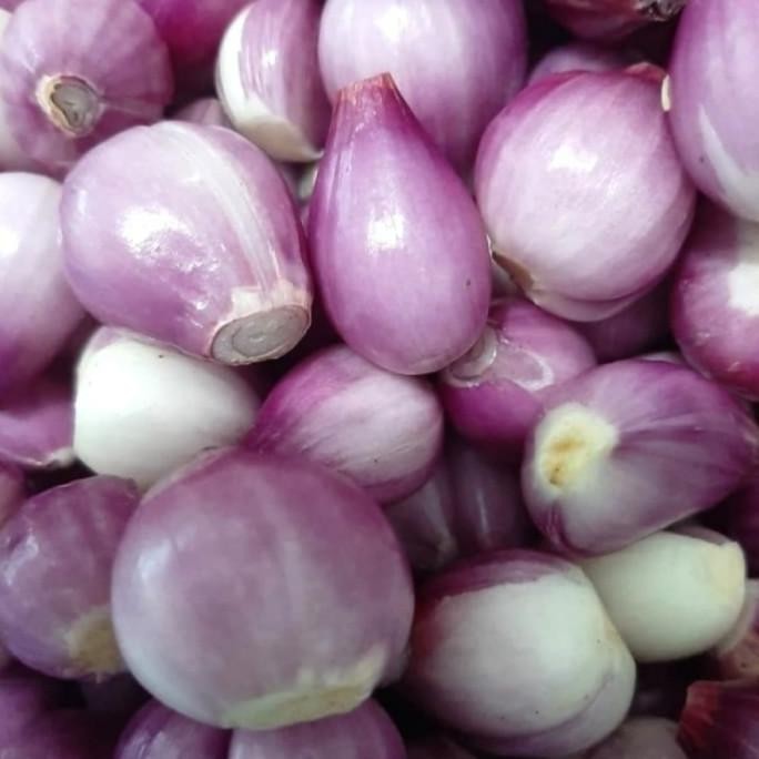 

Bawang Merah Brebes KUPAS Segar 250gr nUg
