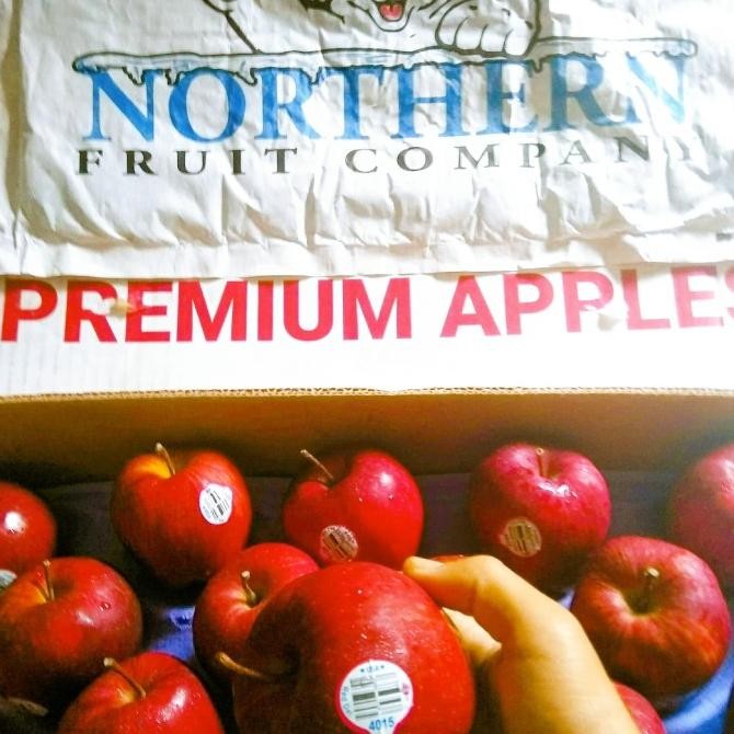 

Buah Apel Merah USA Premium | Red Apple Delicious nUg