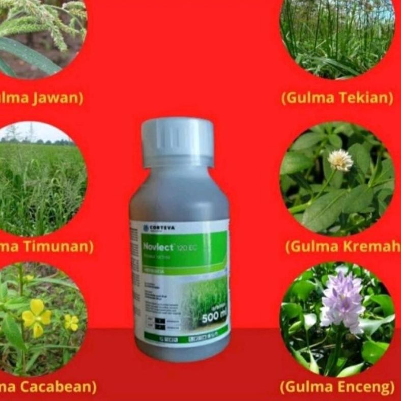 HERBISIDA NOVLECT spesial gulma