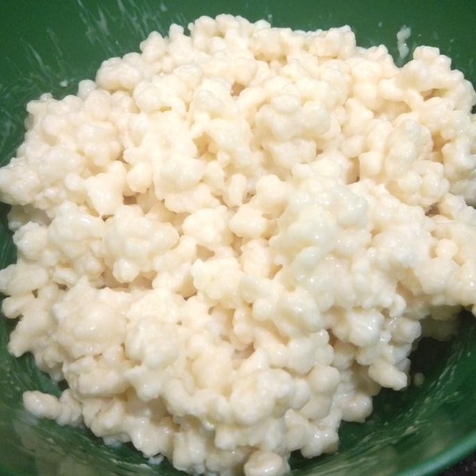 

[[ RASTASTR / GRAIN/BIBIT KEFIR SUSU 50 GRAM BEST SELLER