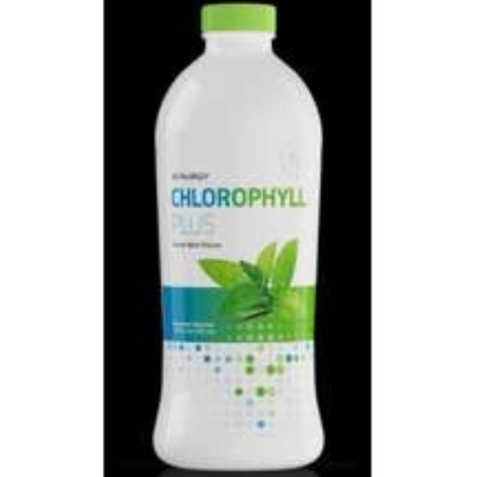 Promo Ready Chlorophyll Plus Synergy Terbatas