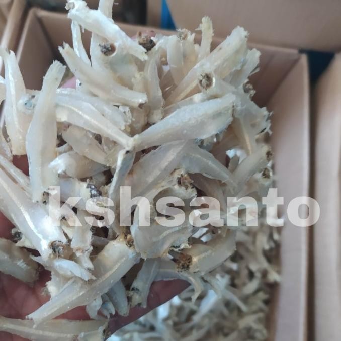 

Grosir Ikan Asin Teri Jengky Daging-1Kg