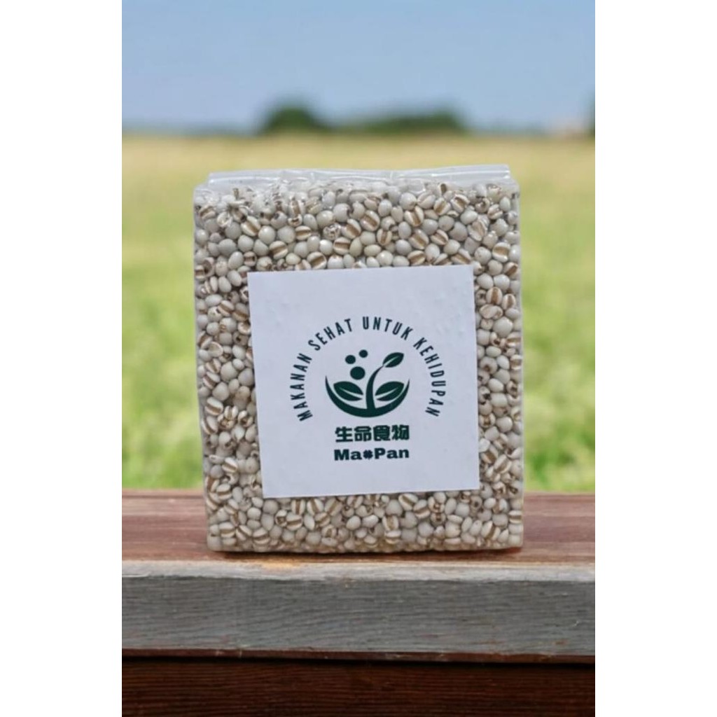 

Grosir Pearl Barley Organic 500Gm Mapan