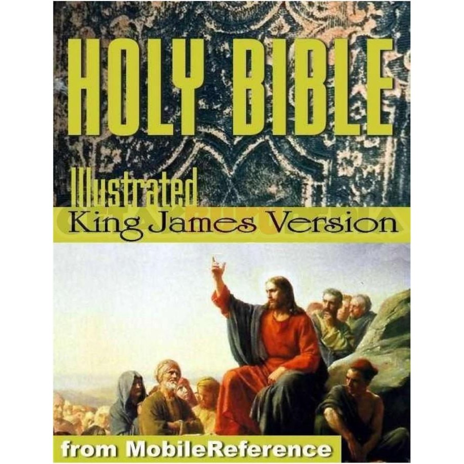 Book Holy Bible Illustrated King James Bible Kjv Old Testament Ne