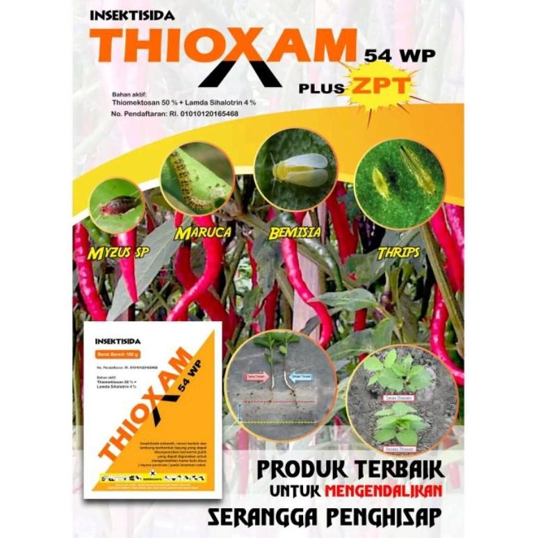 Insektisida Thioxam 54 WP 200 Gram Untuk Tanaman Cabai