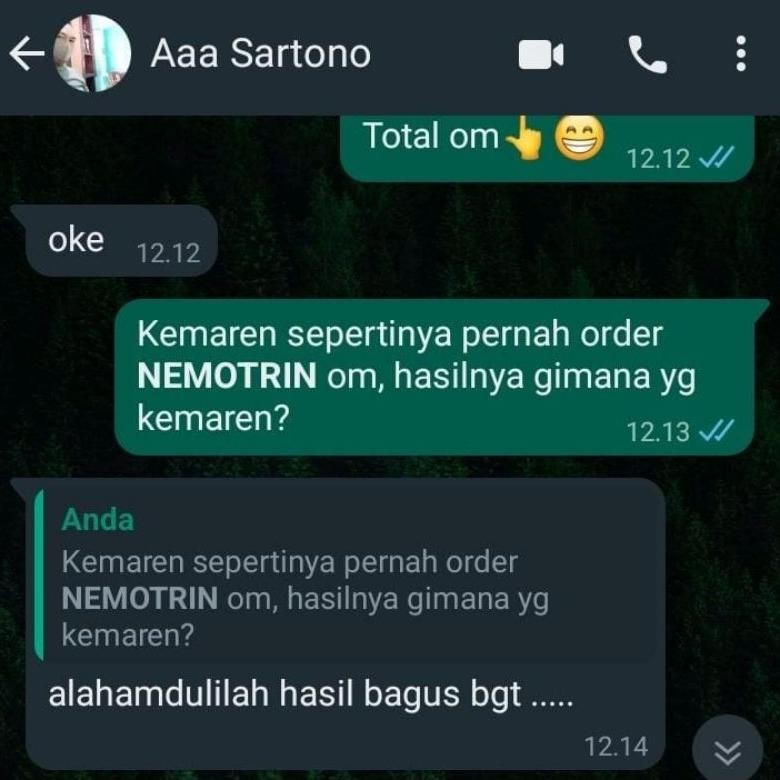  NEMOTRIN - Insektisida Sistemik Ulat, Wereng, Sundep