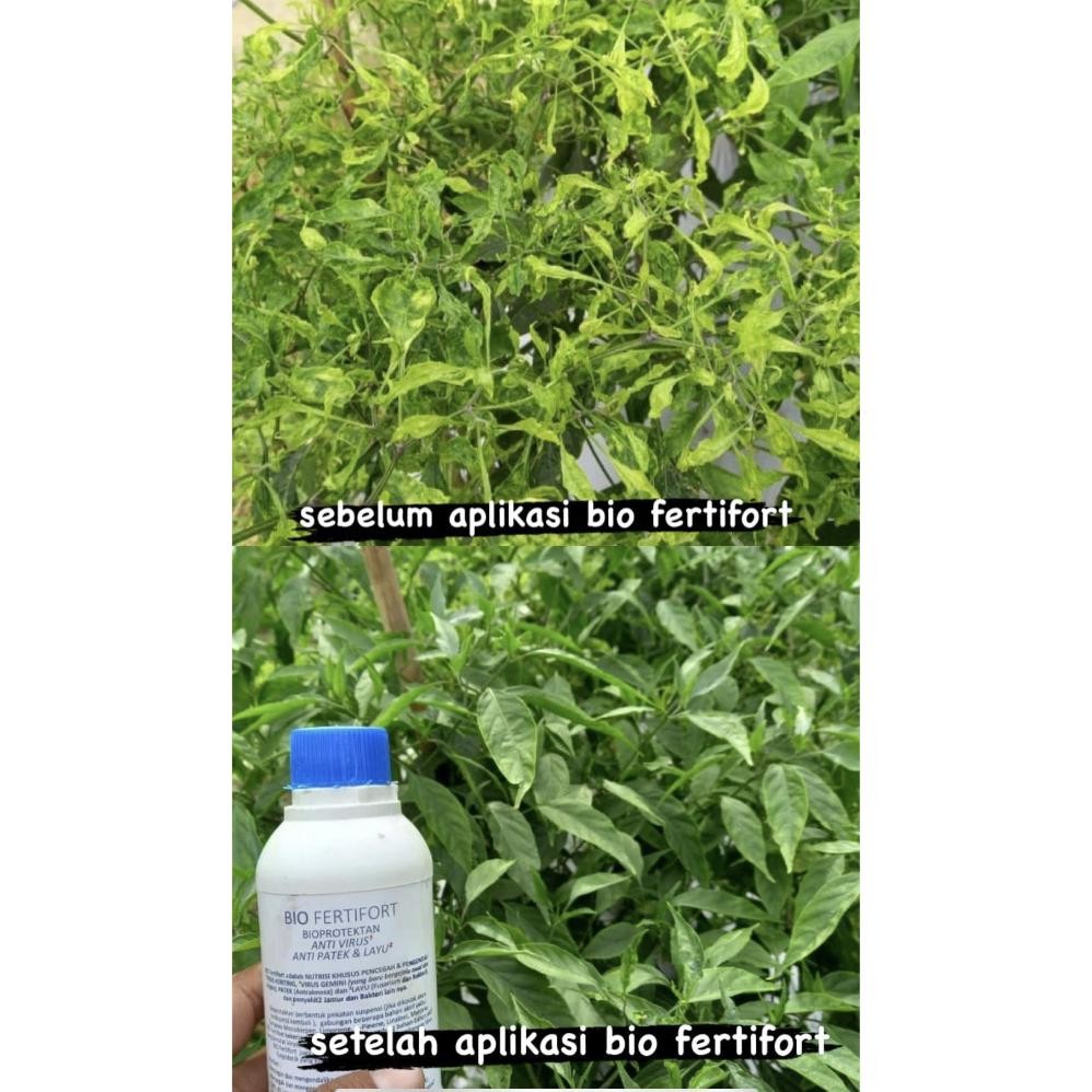 Bio Fertifort Anti Virus Gemini Patek Antraknosa Layu Fusarium Fungisida Bakteri Bakterisida Tanaman