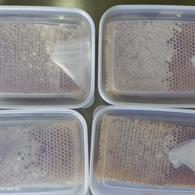 

Madu Sarang / Sarang Madu / 500 Gr / 100% Asli Best Seller