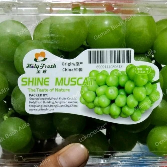 

Sale Anggur Shine Muscat 1Pack