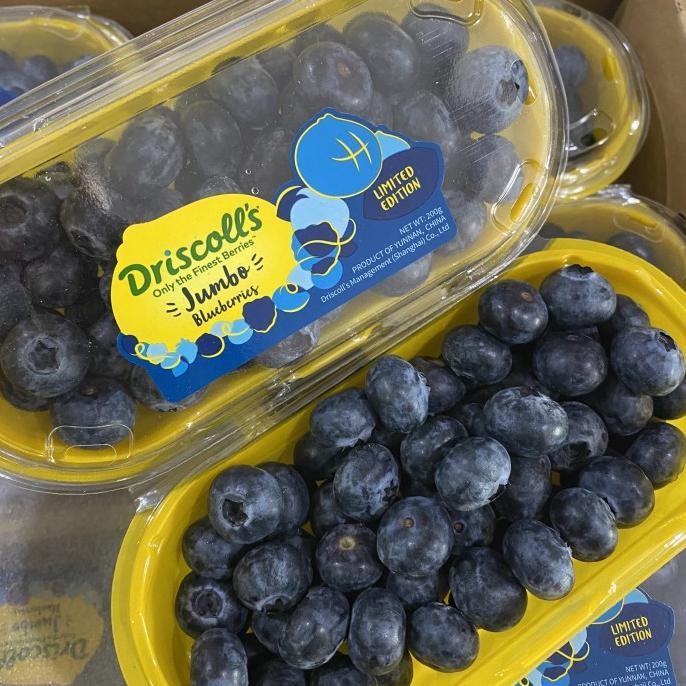 

Sale Blueberry Size Jumbo (Buah Segar Dan Murah)