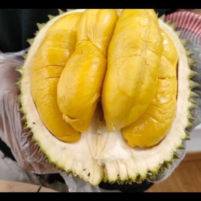 

Sale Durian Musang King Malaysia Original Utuh