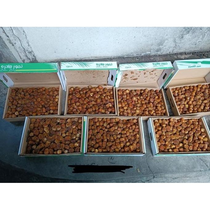 

Grosir Kurma Sukari Dus 3Kg Sukary Alqosim Sukari 3Kg Ruthob Sukkariy Al Madinah Korma Al Qasiim