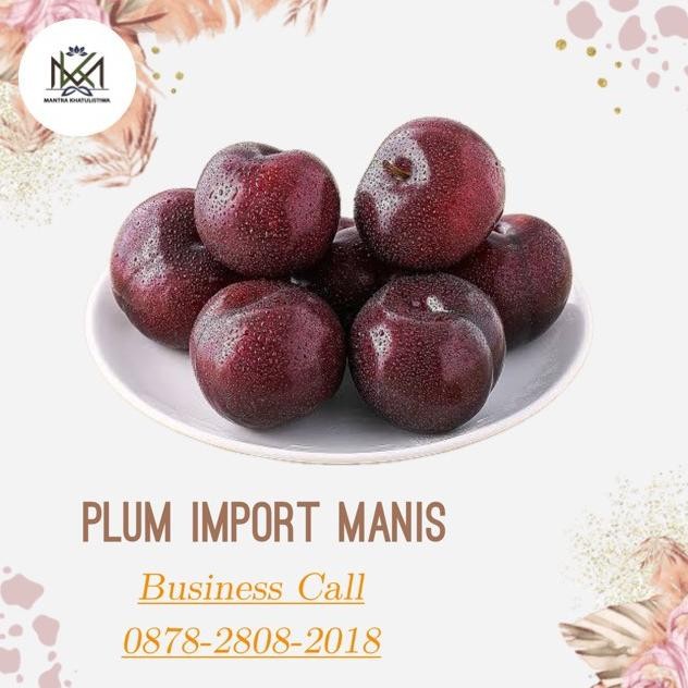 

Murah Plum Merah/ Ungu