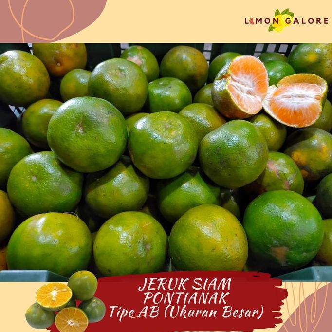 

Sale Jeruk Peras Siam Pontianak Tipe Ab Ukuran Besar Harga Per 1 Keranjang
