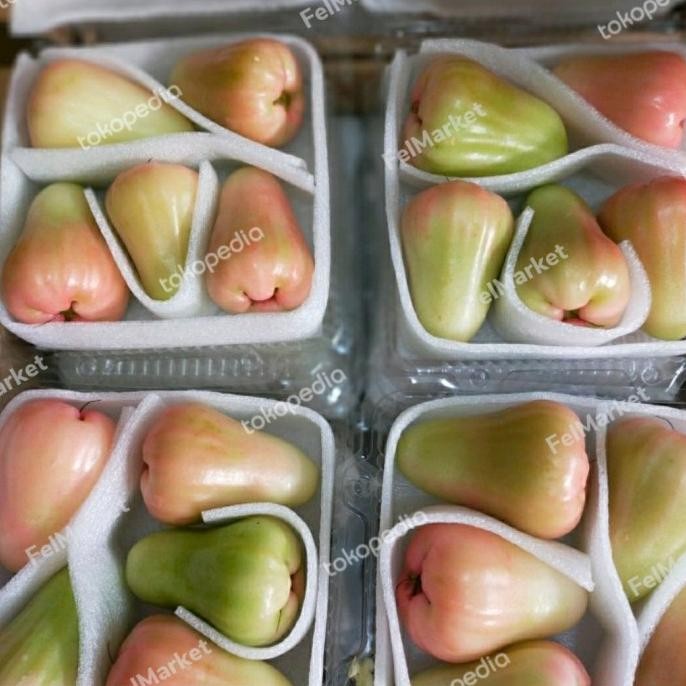

Grosir Jambu Air Jade Rose Jumbo | Pack