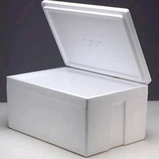 

Box Styrofoam Es Cendol Elizabeth Terlaris