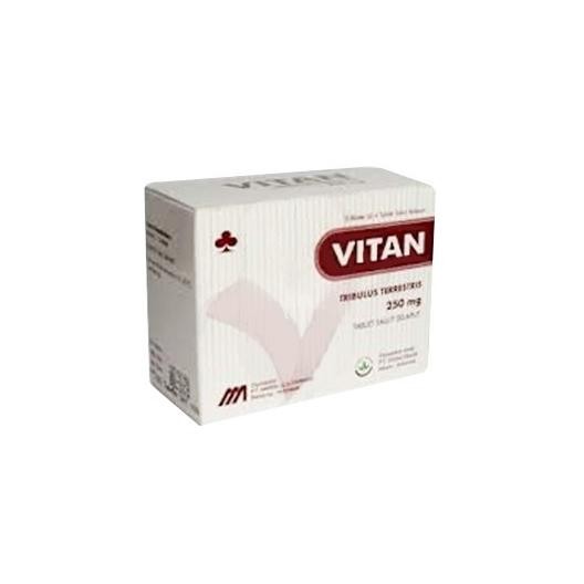

Promo Vitan 250 Mg Box 20 Tablet