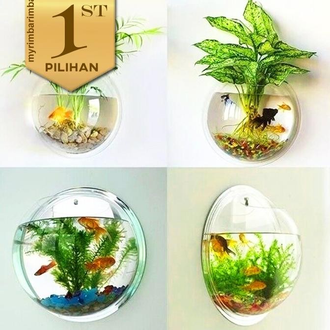Aquarium Gantung Dinding Bulat Hiasan Aquascape Ikan Hias Tanaman Air