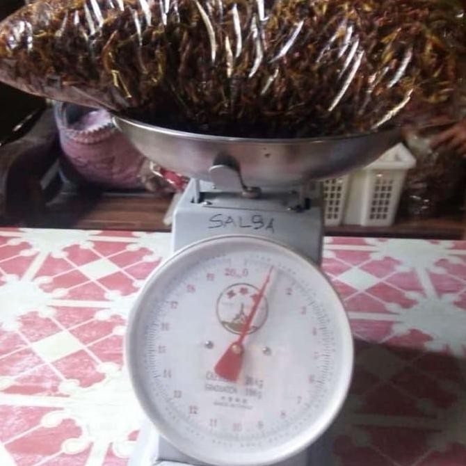 

Belalang goreng 1kg rasa original F67A