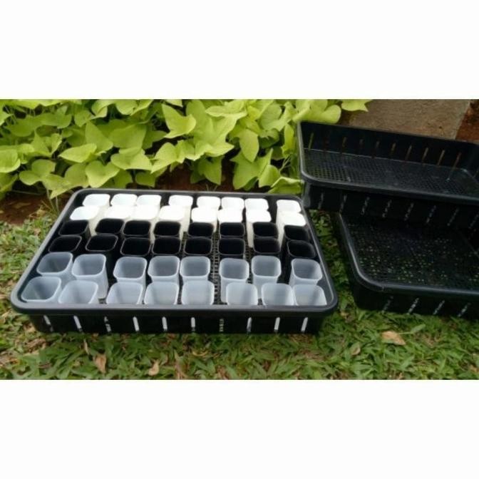 Tray 50 cm NKT + Pot kotak NKT 5 cm ( 40 pcs )