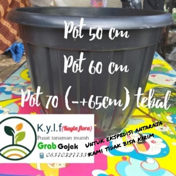 pot besar 70 / pot plastik / pot tanaman / pot / pot bunga / pot hitam