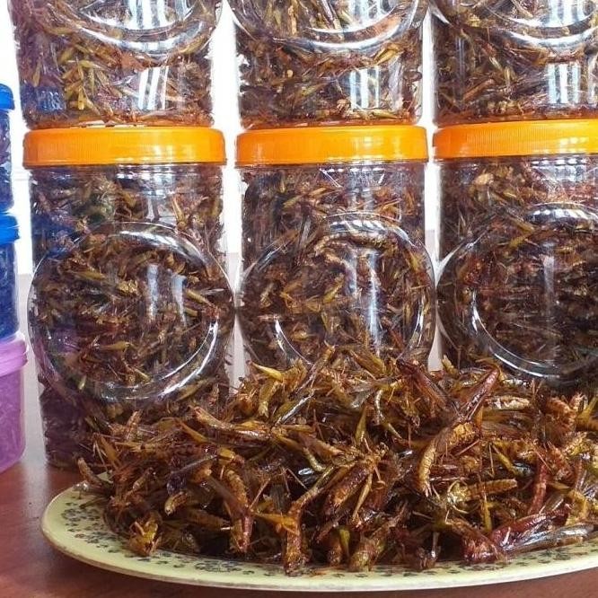 

Tergacor belalang goreng kemasan toples sonice 50rb an Terbaik F67A