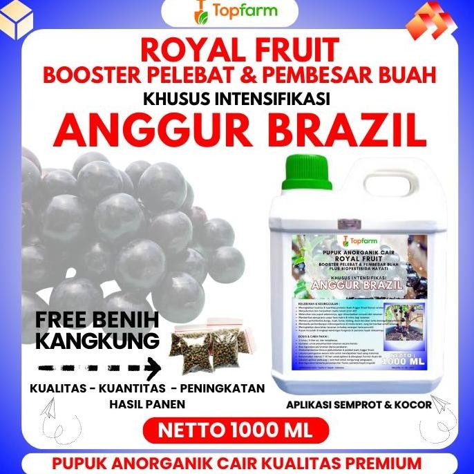 Pupuk Anggur Brazil / Pupuk Penyubur Tanaman Anggur / Pupuk Pohon Anggur / Pupuk Hijau Daun Anggur /