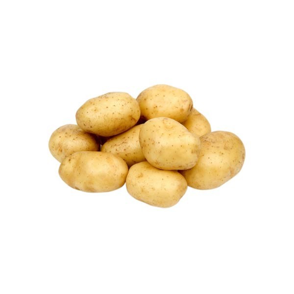 

KENTANG RENDANG 500-520 GR