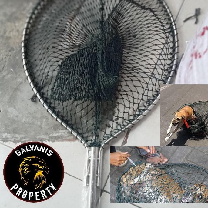 kolasaj JARING TANGKAP ANJING/KUCING/LUWAK/MUSANG/JARING PERANGKAP AYAM HUTAN