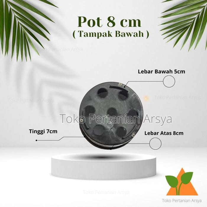 Lusinan Pot 8 Cm - Pot Kaktus - Pot Kecil