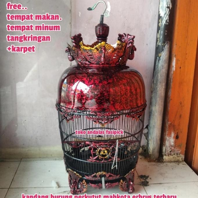 kandang burung perkutut mahkota/sangkar perkutut mahkota erbrus/kandng AME