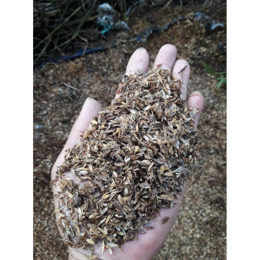 Sekam Fermentasi / Sekam Lapuk Karung murah