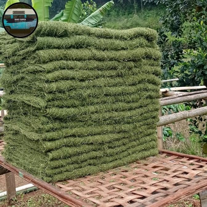 Daun talas hijau tansar kering 1kg murah