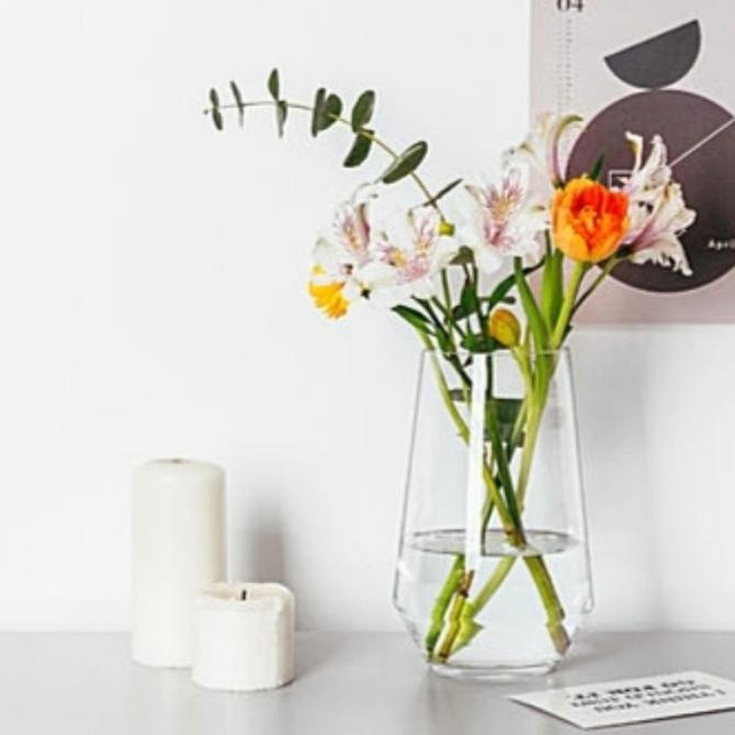 Vas Bunga Kaca Bening Aesthetic / Pot Kaca Tanaman Air Hidroponik