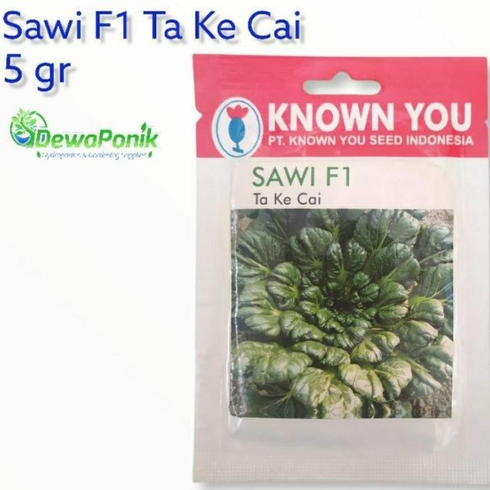 Benih Sawi Ta Ke Cai / Sawi Pagoda / Sawi Cantik SUPER NNNN PREMIUM
